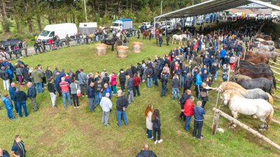 Galerija DJI_20241006114541_0011_D.jpg 1
