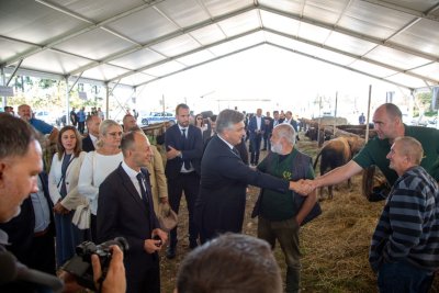 Galerija Plenkovic-stocni-sajam-19.jpg 1
