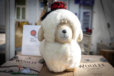 Galerija jesen-u-lici-galerija-2025-018.jpg 1