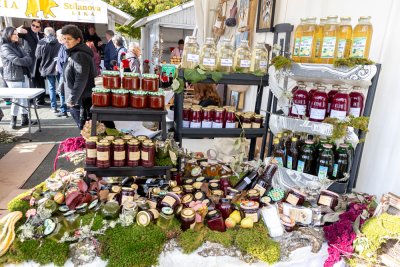 Galerija jesen-u-lici-galerija-2025-021.jpg 1