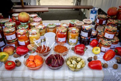 Galerija jesen-u-lici-galerija-2025-033.jpg 1