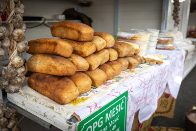 Galerija jesen-u-lici-galerija-2025-037.jpg 1