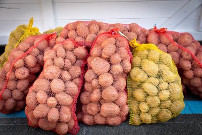 Galerija jesen-u-lici-galerija-2025-048.jpg 1