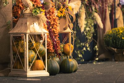 Galerija jesen-u-lici-galerija-2025-068.jpg 1