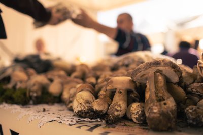 Galerija jesen-u-lici-galerija-2025-078.jpg 1