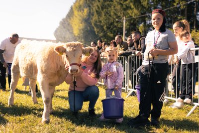 Galerija jesen-u-lici-galerija-2025-081.jpg 1