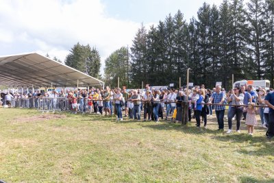 Galerija konji-ocjenjivanje-21.jpg 1