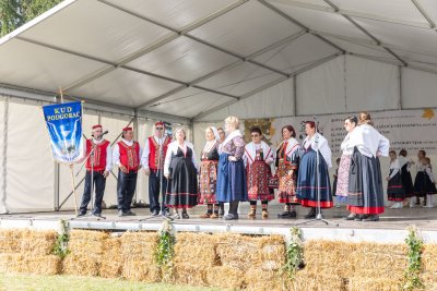 Galerija konji-ocjenjivanje-22.jpg 1