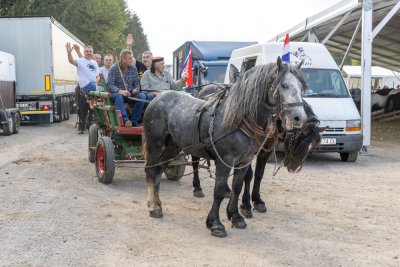 Galerija konji-ocjenjivanje-35.jpg 1