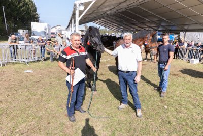 Galerija konji-ocjenjivanje-83.jpg 1