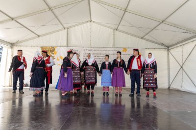 Galerija pramenka-i-busa-5.jpg 1